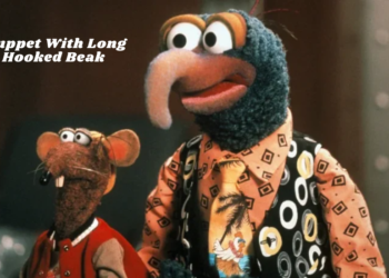 muppet with long hooked beak