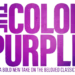 the color purple 2023 torrent