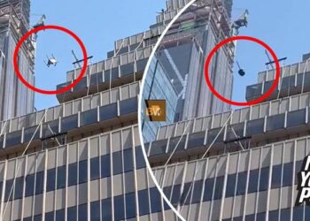 florida man throws furniture